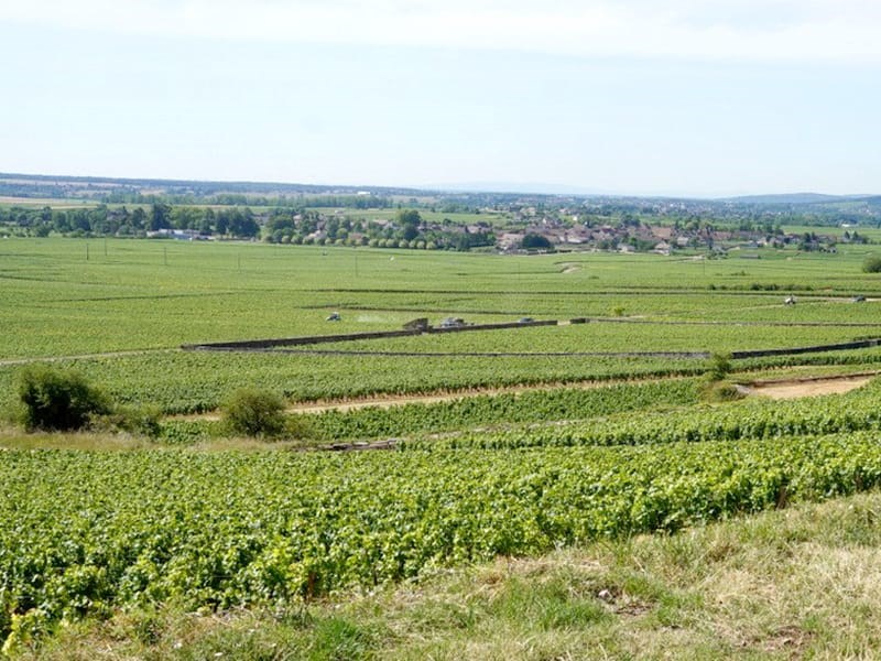 Premier Cru-marken Les Perrières