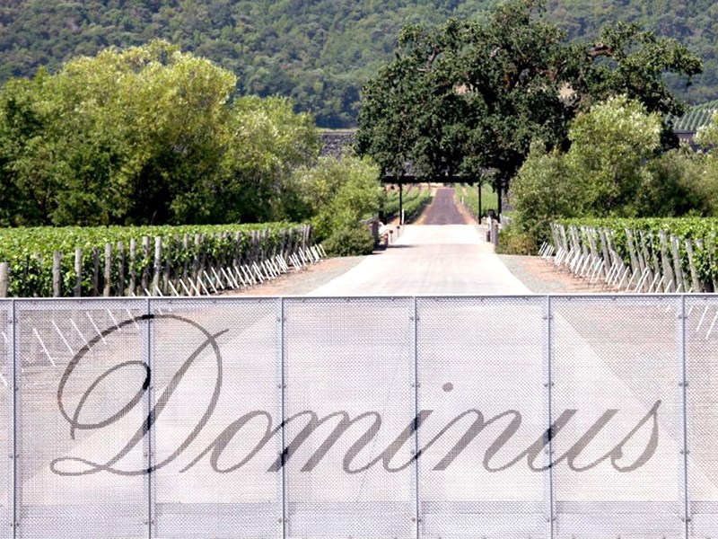 Attractive investment in Dominus Estate