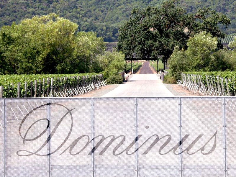 Invest in Dominus Estate