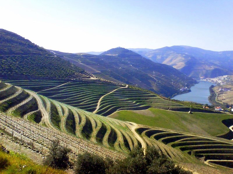 Côte-Rôtie