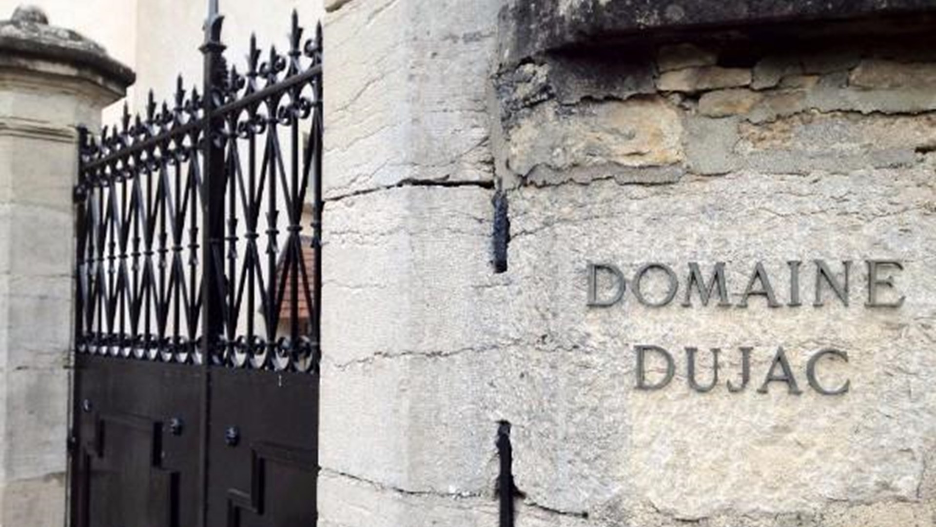 Investment in Domaine Dujac