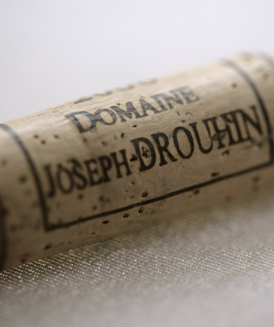 Domaine Joseph Drouhin for more than 100 years.