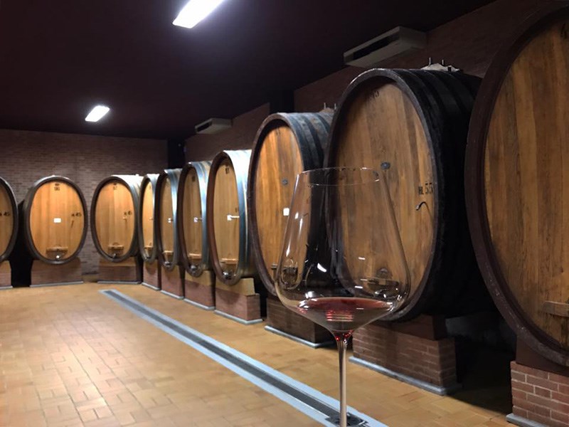 Wine tasting in the cellar of Giacomo Conterno