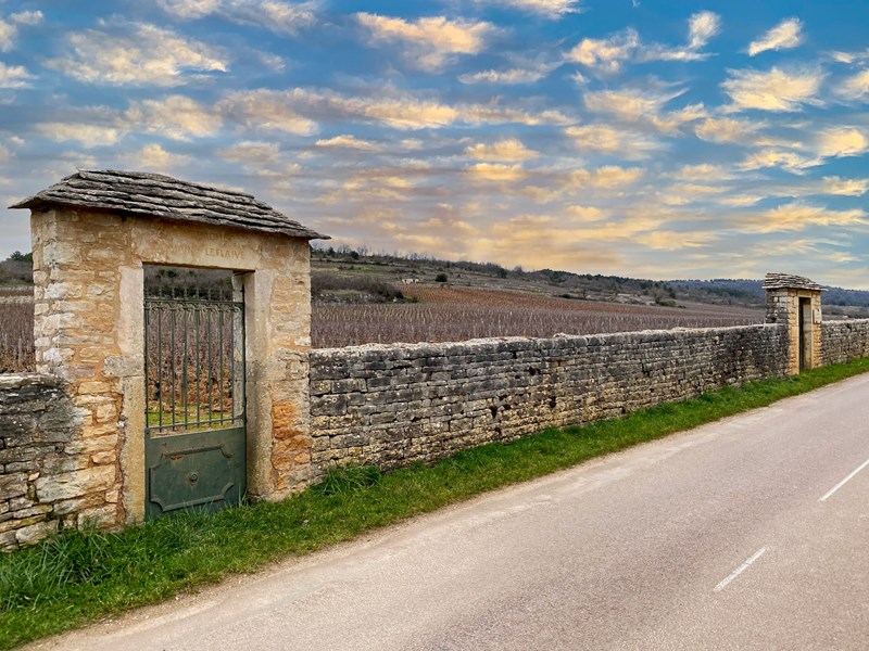 Domaine Leflaive - Montrachet