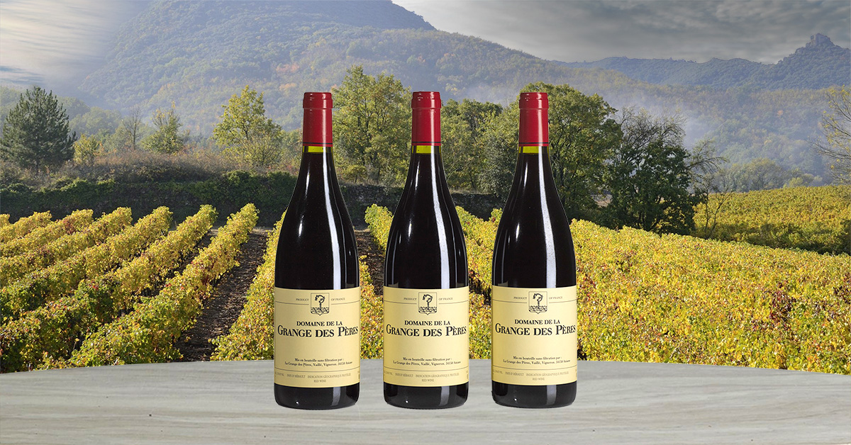 Domaine de la Grange des Pères 2005 赤ワイン 2005 Domaine de la Grange des Pères Pays d'Hérault