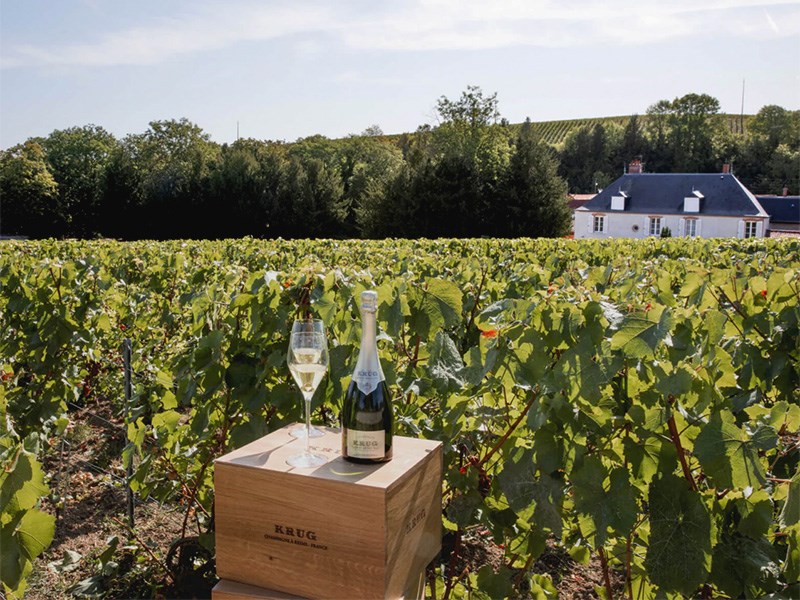 Clos du Mesnil