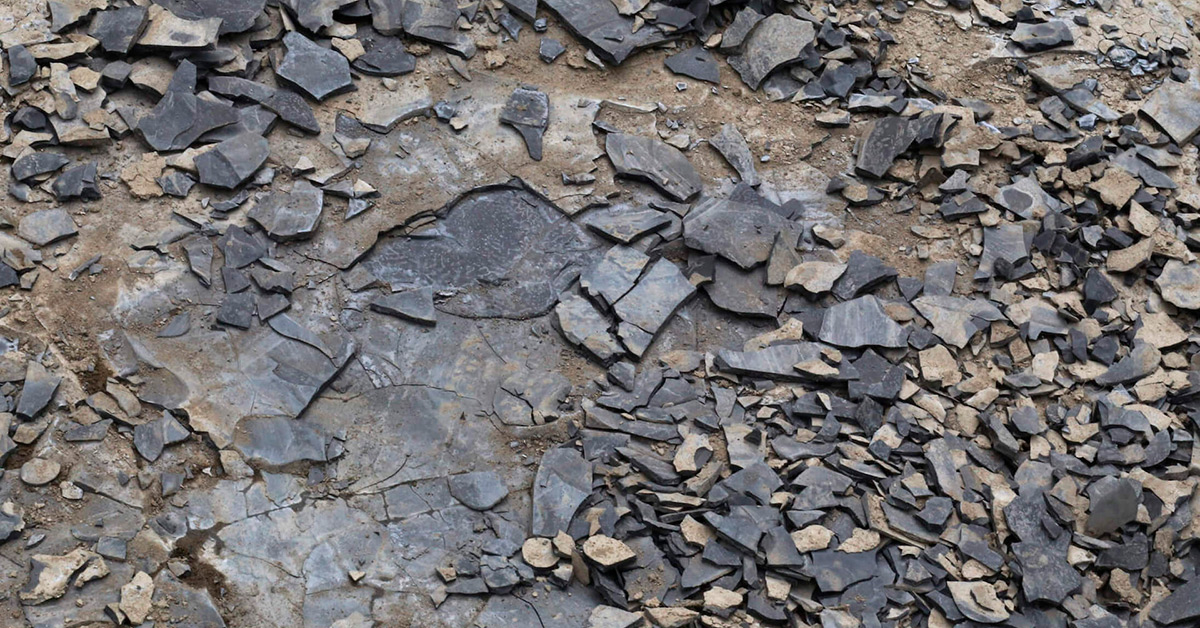 Minerality In Wine What Does That Actually Mean?