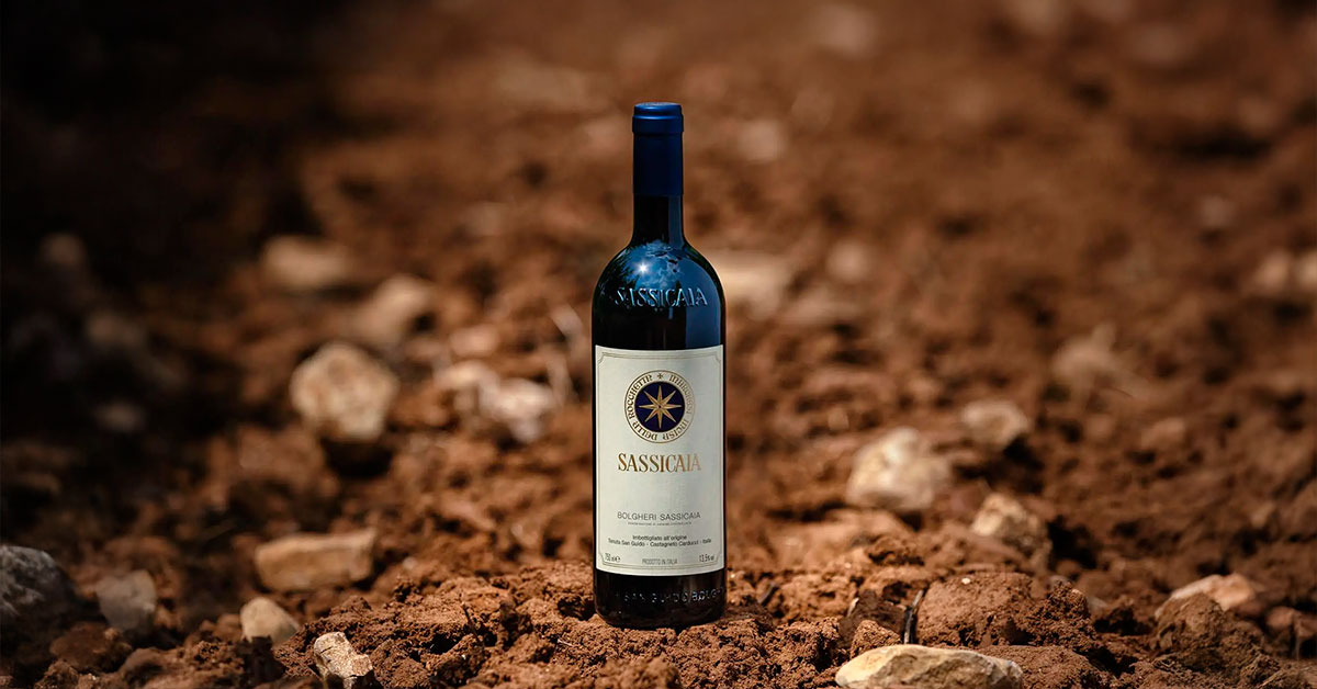 Pre-Sale Is Live: Now You Can Invest in the 2022 Sassicaia
