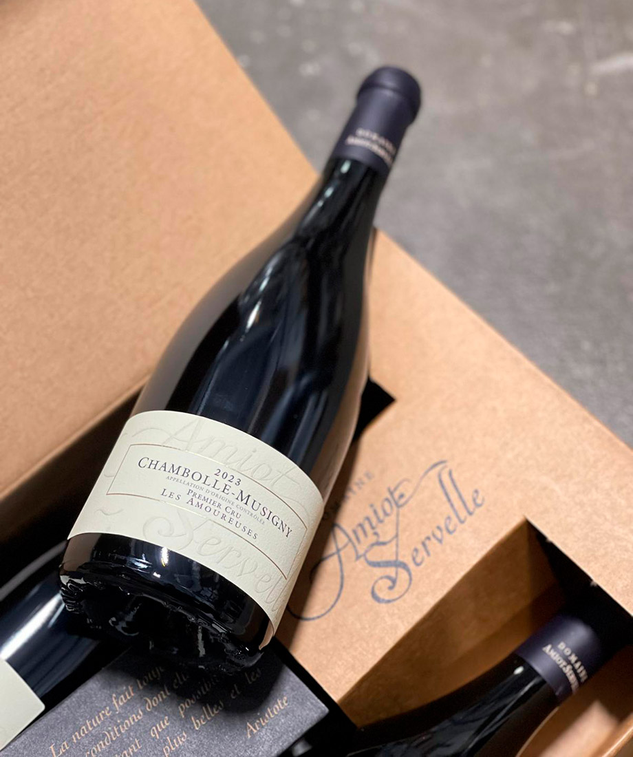 Amiot-servelle-920x1100.jpg (1)